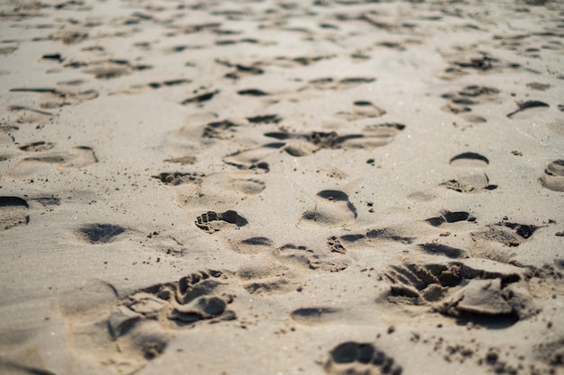 Abdrücke auf dem Sand der Morgenluft.