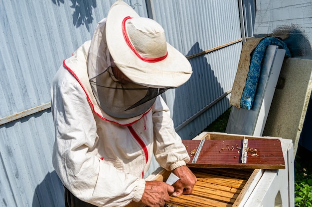 La abeja alada vuela lentamente para que el apicultor recolecte néctar en un apiario privado de flores vivas Apiario que consiste en polvo de flores de apicultor de aldea en las patas de abeja Apicultor para abejas en un apiario grande de fondo