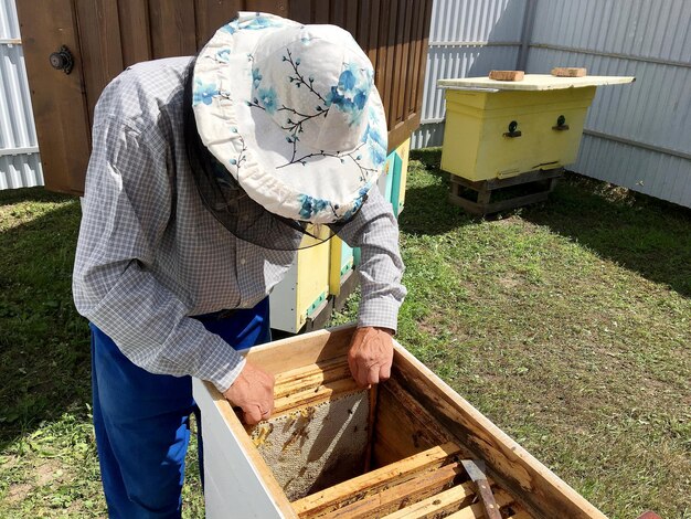 La abeja alada vuela lentamente para que el apicultor recolecte néctar