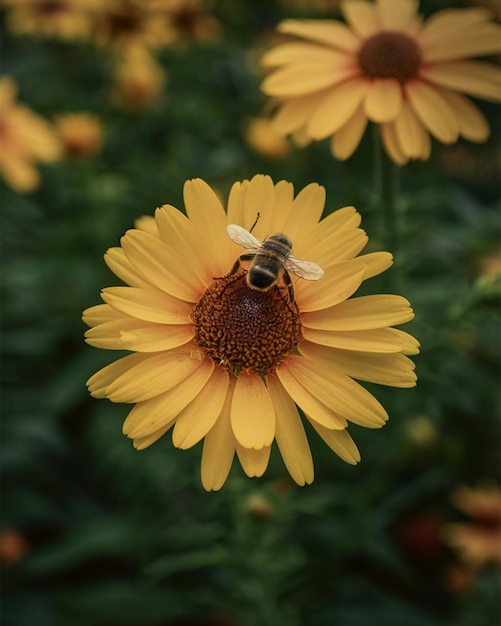 una abeja en una flor