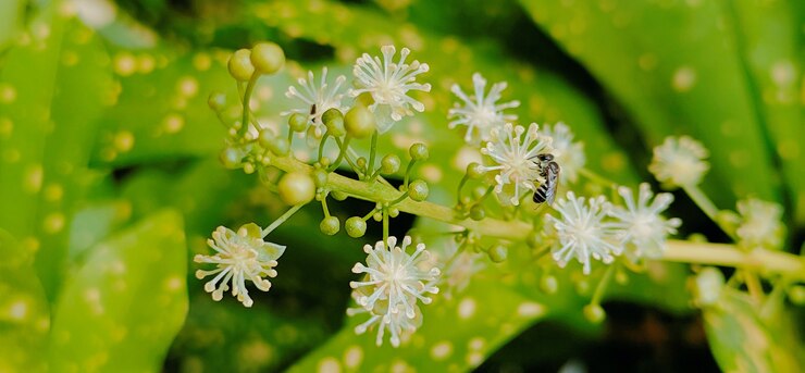 Abeja con flores pequeñas sobre un fondo verde