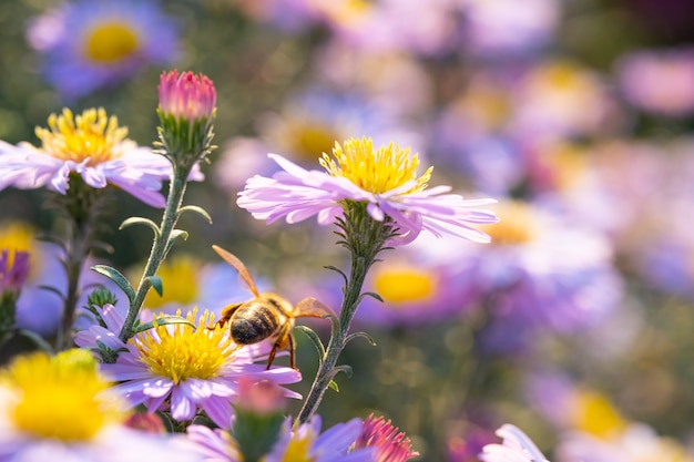 Una abeja sentada sobre una flor en crecimiento.