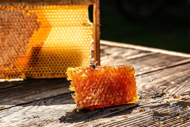 Abelha voando, favos de mel com células cheias de mel com concha de mel de madeira na mesa de madeira