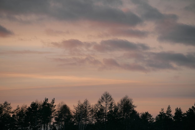 Abendhimmel Natürlicher Texturhintergrund