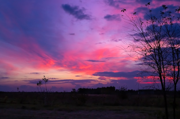 Abendlandschaft. Schöner dunkler Himmel mit farbigen hinterleuchteten Wolken über einem Feld auf dem Lande.