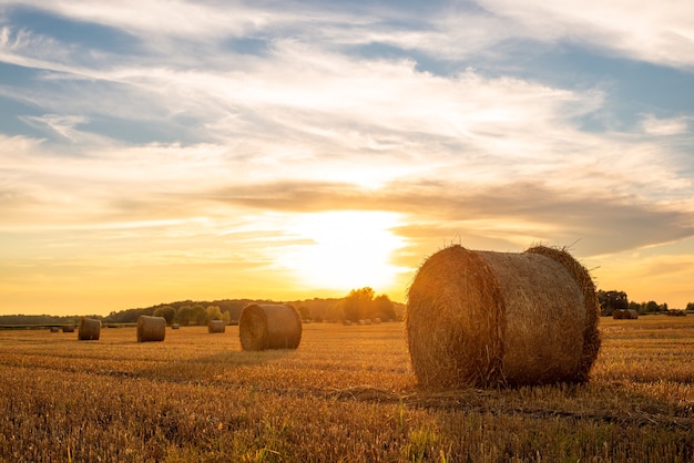 Abendlandschaft von Strohballen gegen untergehende Sonne auf dem Hintergrund