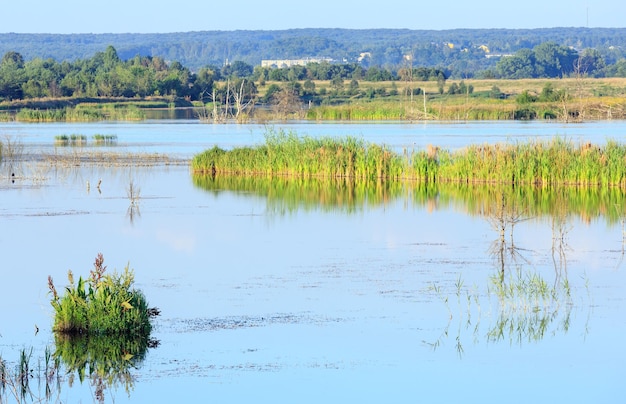 Abendseenlandschaft im Sommer mit Pflanzenreflexionen auf der Wasseroberfläche (in der Nähe der Siedlung Shklo, Oblast Lviv, Ukraine).