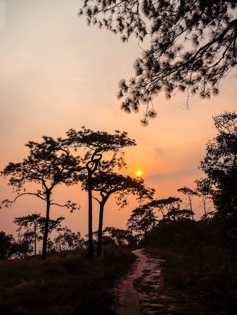 Foto abendsonne auf dem berg