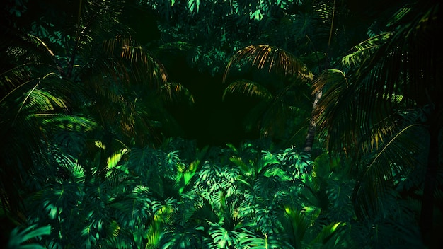 Abenteuer im Dschungel Sommer Hintergrund für Werbung in der Natur und Werbeszene