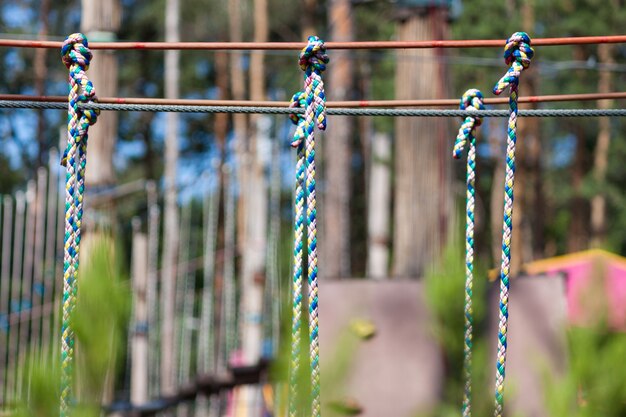 Abenteuer Klettern auf Hochseilpark. Waldabenteuerpark zwischen Kiefern.