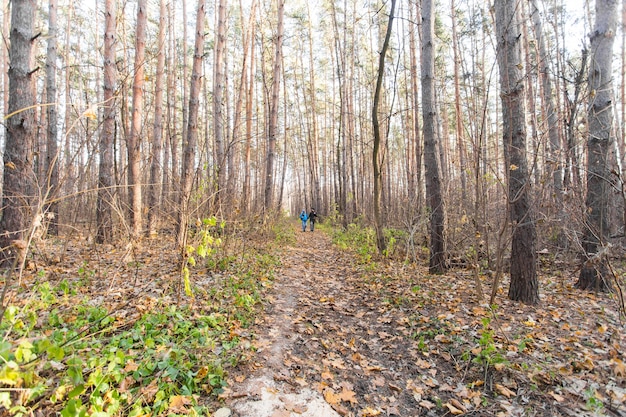 Abenteuer-, Reise-, Tourismus-, Wander- und Personenkonzept - Paar, das mit Rucksäcken über die Herbstnaturszene geht