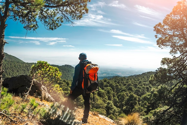 Abenteurer beim Wandern im Wald