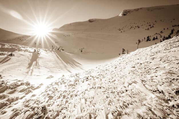 Abetos cubiertos de nieve en el fondo de los picos de las montañas Vista panorámica del pintoresco paisaje nevado de invierno