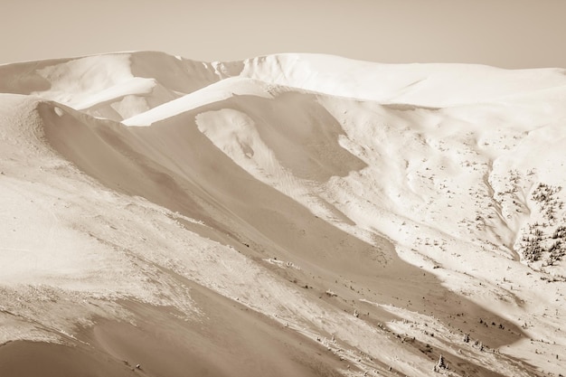 Abetos cubiertos de nieve en el fondo de los picos de las montañas Vista panorámica del pintoresco paisaje nevado de invierno