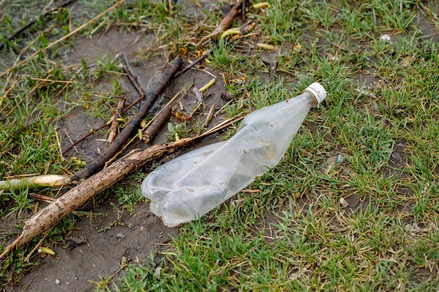 Abfallflasche im Gras, Plastikmüllverschmutzung