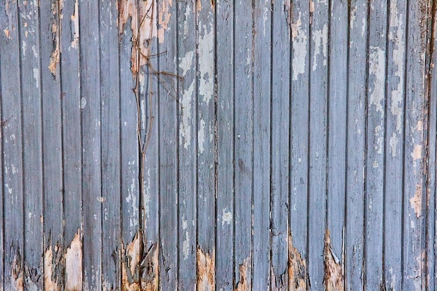 Abgebrochene Farbe alte Wetter abgenutzte Holzplatten des Gebäudes Zaun zerfallende Bretter Hintergrundvermögenswert
