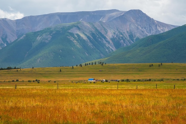 Abgelegener Bergbauernhof Landleben Ranch auf einem Hügel Ein grünes Frühlingsfeld vor einer alten Altai-Ranch auf einem Hügel gegen einen bewölkten Himmel Landwirtschaftliche Flächen