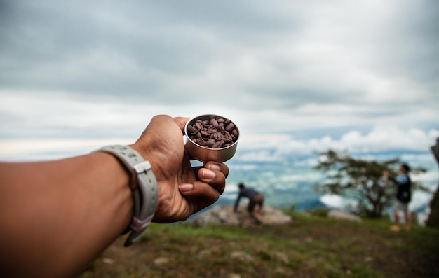 Foto abgeschnittene hand einer frau, die geröstete kaffeebohnen gegen einen bewölkten himmel hält