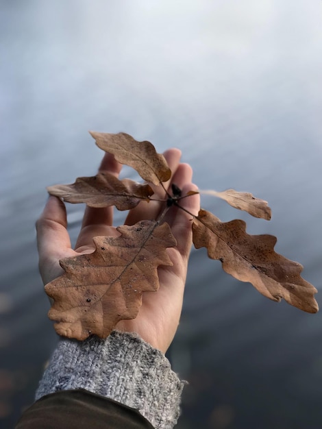 Abgeschnittene Hand eines Mannes, der ein Blatt gegen den See hält