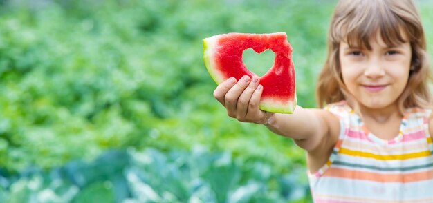 Abgeschnittene Hand hält eine rote Blume