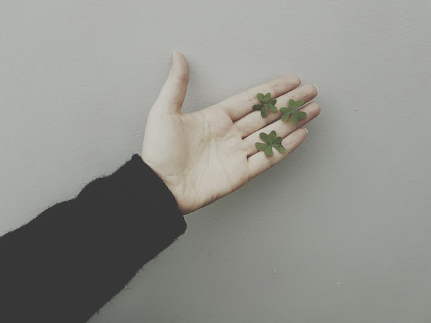 Foto abgeschnittene hand mit blättern vor grauem hintergrund