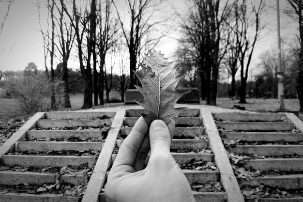 Foto abgeschnittene hand mit zimt