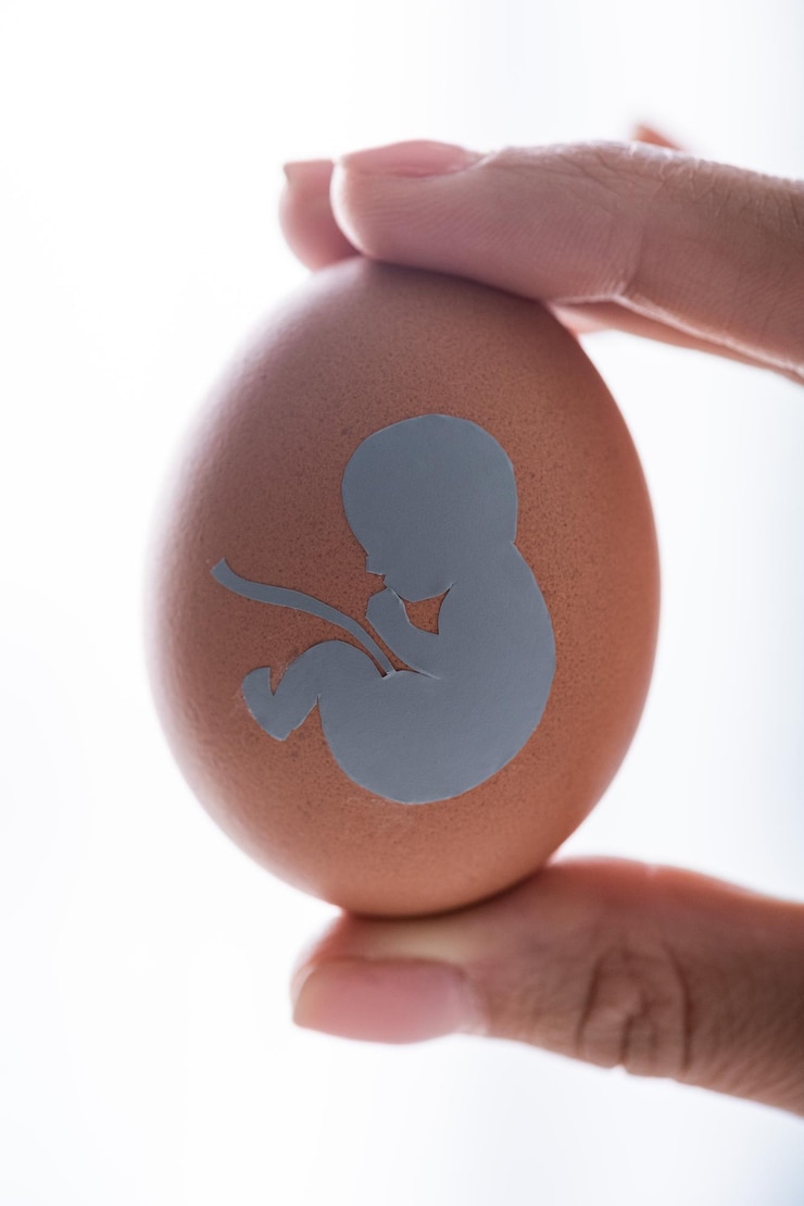 Foto abgeschnittener blick auf eine frau, die ein ei mit einer baby-silhouette hält