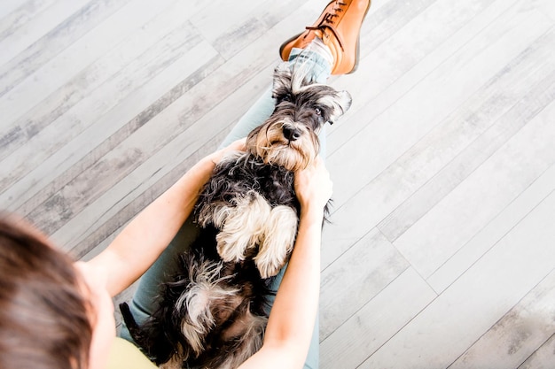 Abgeschnittenes Bild einer jungen Frau mit einem Schnauzer-Hund im Haus Frau, die mit einem Hund auf dem Boden sitzt