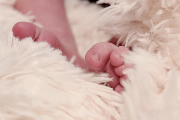 Foto abgeschnittenes bild von babyfüßen in einer pelzigen decke