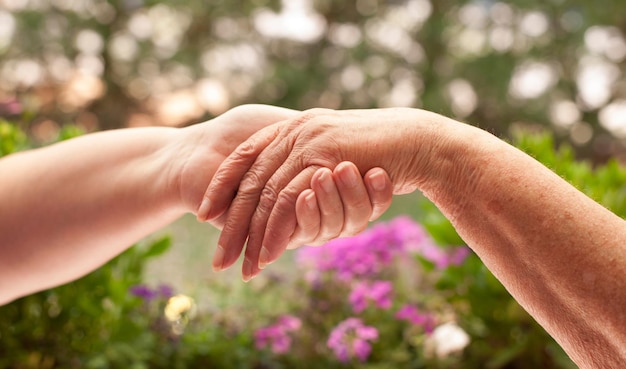 Abgeschnittenes Bild von Enkelkind, das die Hand der Großmutter gegen den Baum hält.