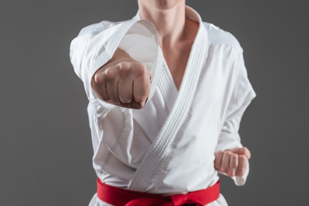 Abgeschnittenes Foto eines gutaussehenden Sportlers, der in Kimono-Übungen im Karate gekleidet ist, einzeln auf grauem Hintergrund.