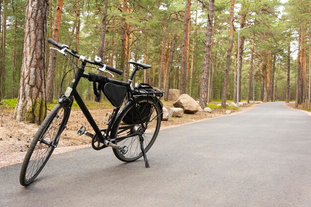 Abgestelltes Fahrrad am Waldweg Radweg im Wald Fahrradrücklicht Fahrradtasche