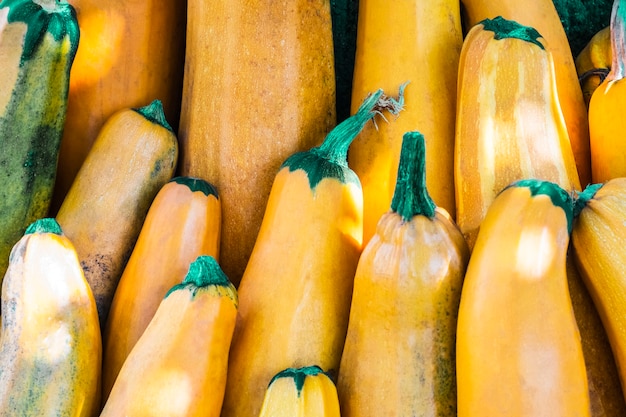 Abóbora amarela. Abobrinha amarela fresca no mercado ao ar livre. Abobrinha de medula vegetal ou abobrinha. Colha o ingrediente orgânico da abobrinha. Comida orgânica