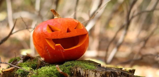 Abóbora assustadora de Halloween com um dente na floresta de outono