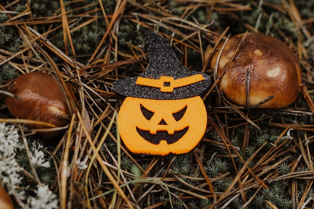 Abóbora de brinquedo Jack feita de feltro na floresta decoração de Halloween