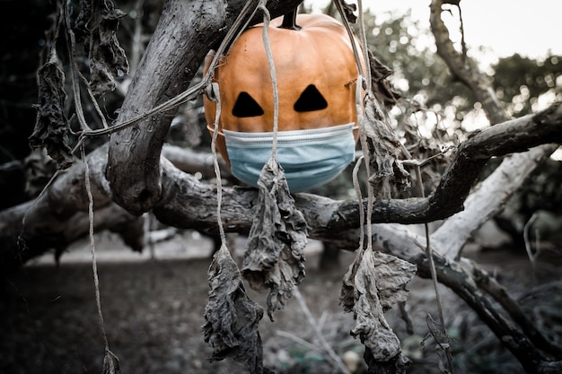 Foto abóbora de halloween 2020 com uma máscara devido ao covid 19