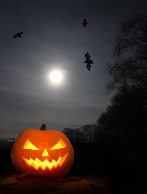 Abóbora de Halloween à noite