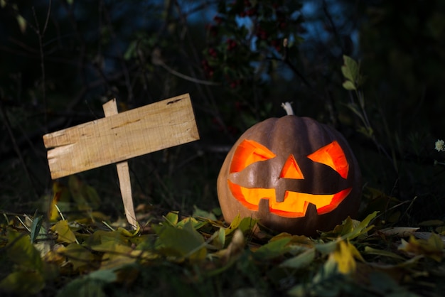 Abóbora de halloween assustador e o quadro antigo para texto