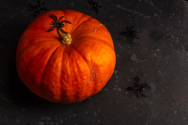 Abóbora de Halloween com aranhas em torno de um fundo escuro