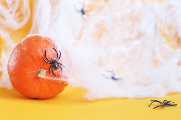 Abóbora de Halloween com teia de aranha e aranhas pretas em fundo laranja