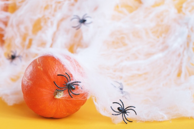 Foto abóbora de halloween com teia de aranha e aranhas pretas em fundo laranja