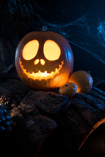 Foto abóbora de halloween com teia de aranha