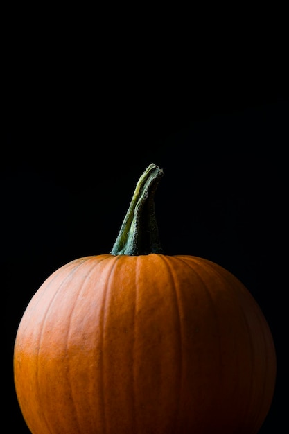 Abóbora de halloween de outono contra um fundo liso