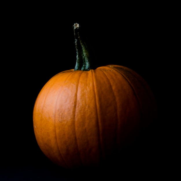 Abóbora de halloween de outono contra um fundo liso