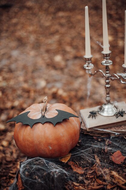 Foto abóbora de halloween e decoração de férias em folhas de bordo entre árvores na temporada de outono ao ar livre