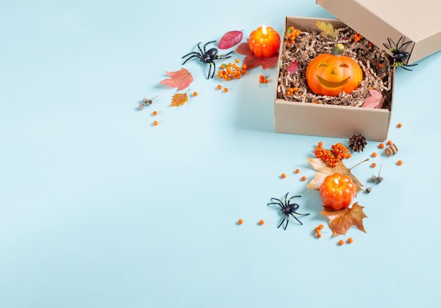 abóbora de Halloween em caixa de presente com decoração em fundo azul