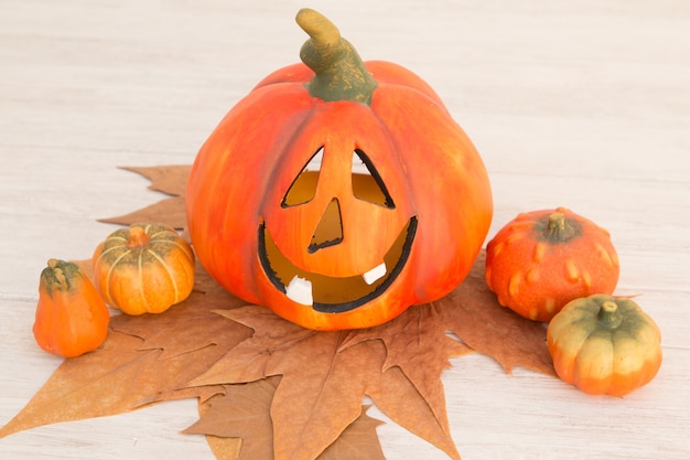 Abóbora de halloween laranja e muitas pequenas abóboras