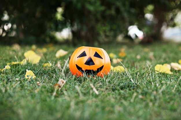 abóbora de halloween na grama