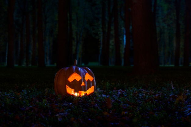 Abóbora de Halloween no parque