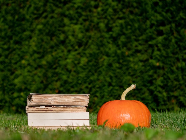 Abóbora e livros em uma grama no quintal em outubro